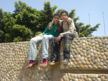 amis